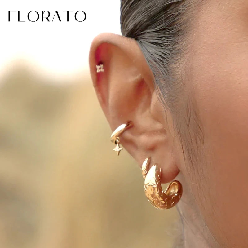 24K Gold-Plated Zircon Ear Clips