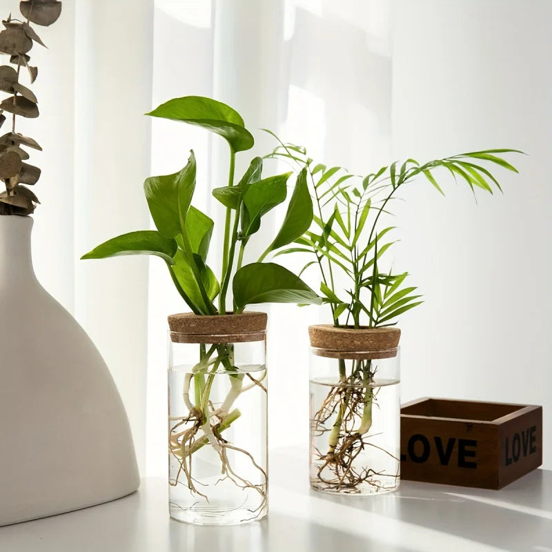 Glass Planter Vase