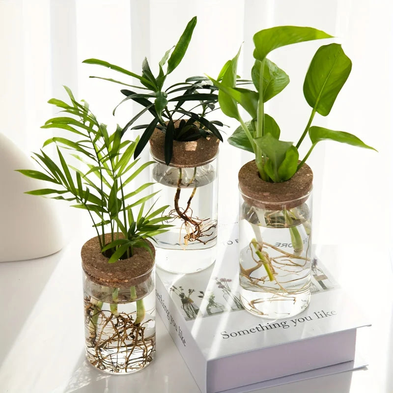 Glass Planter Vase