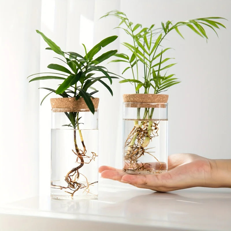 Glass Planter Vase