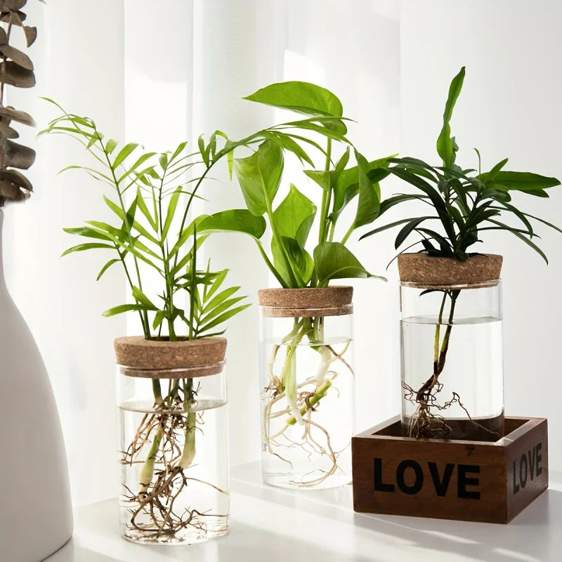 Glass Planter Vase