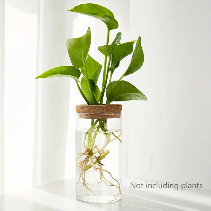 Glass Planter Vase