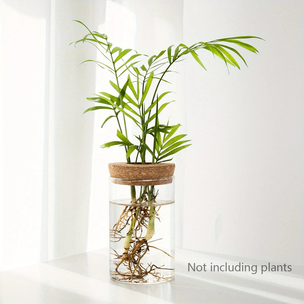Glass Planter Vase