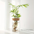 Glass Planter Vase